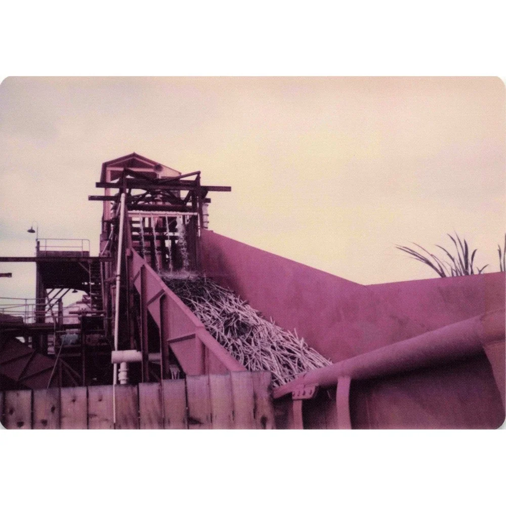Vintage Hawaii Sugar Cane Mill Processing Lot of 5 Photos - Picture 3 of 5